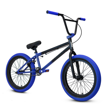 Elite Stealth 20" BMX Bike
